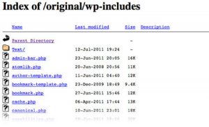 Voorkom WordPress directory bladeren in browser